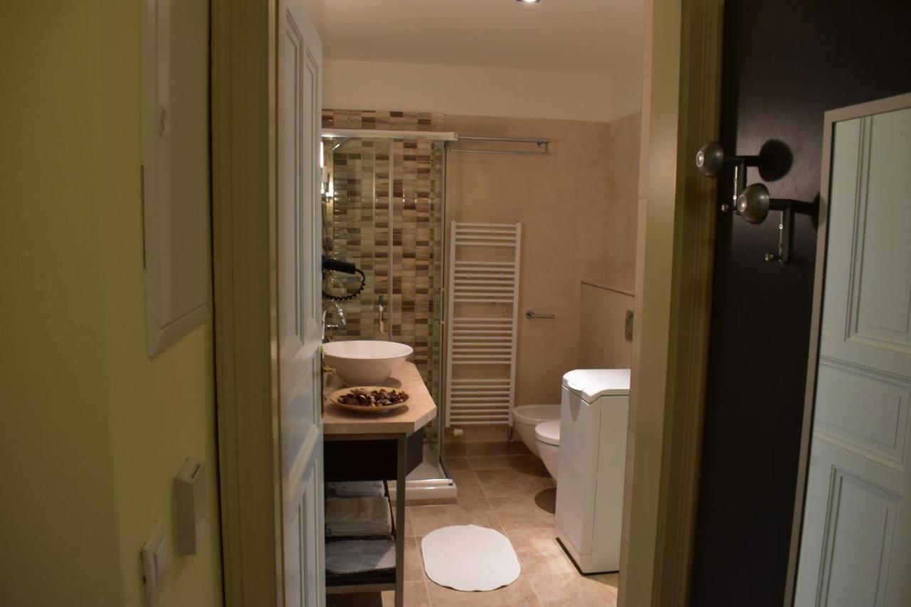 Apartment Vikroria - Halkova 5 براغ المظهر الخارجي الصورة